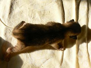 P1010326.JPG (14295 Byte)