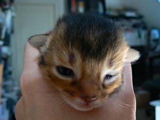 P1010328.JPG (10835 Byte)