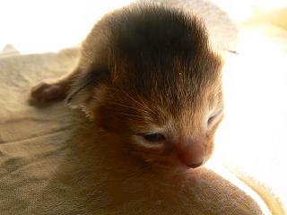 P1010331.JPG (10519 Byte)