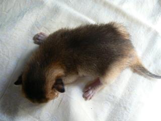 P1010333.JPG (10167 Byte)