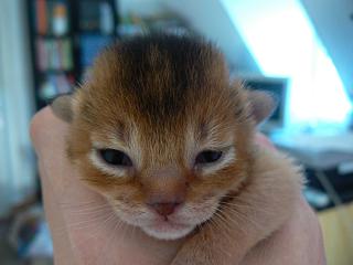 P1010344.JPG (11066 Byte)