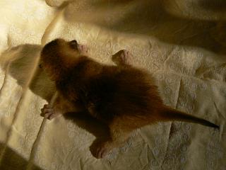 P1010345.JPG (11992 Byte)