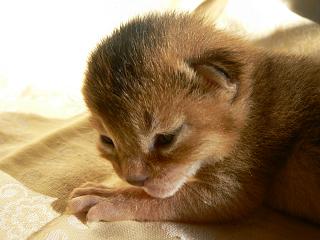 P1010347.JPG (13709 Byte)