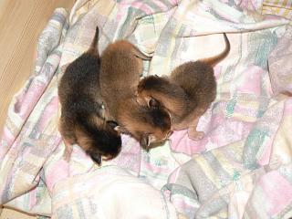 P1010357.JPG (16356 Byte)