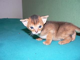 P1010363.JPG (10683 Byte)