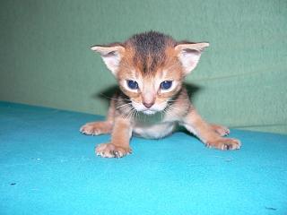 P1010367.JPG (10648 Byte)