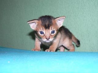 P1010380.JPG (10140 Byte)