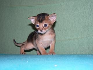 P1010386.JPG (9872 Byte)