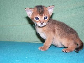 P1010396.JPG (12445 Byte)