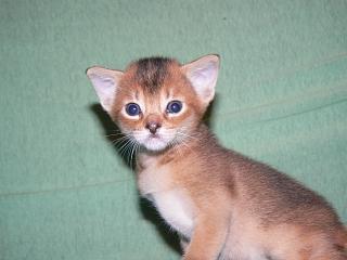 P1010399.JPG (10965 Byte)