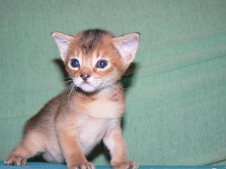 P1010405.JPG (10188 Byte)