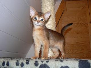 P1010543.JPG (12447 Byte)