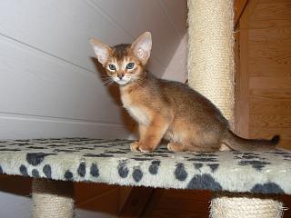 P1010550.JPG (14067 Byte)