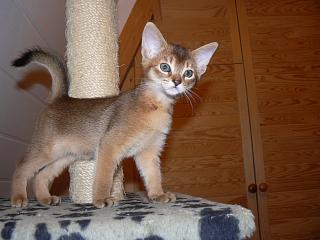 P1010555.JPG (14003 Byte)