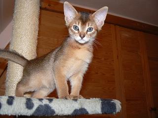 P1010558.JPG (14090 Byte)