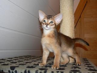 P1010579.JPG (12890 Byte)