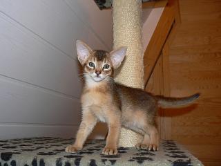 P1010580.JPG (11428 Byte)