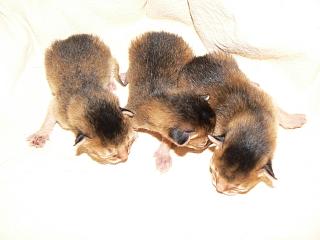 P1020342.JPG (10703 Byte)