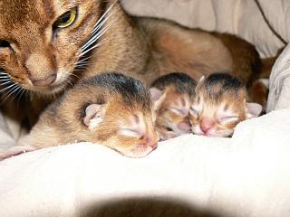 P1020352.JPG (15052 Byte)