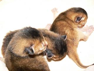 P1020374.JPG (13901 Byte)