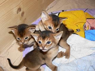 P1020479.JPG (16549 Byte)