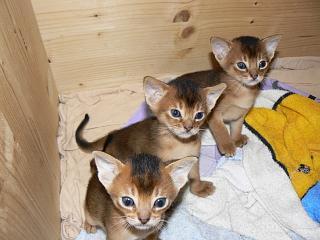 P1020483.JPG (15549 Byte)