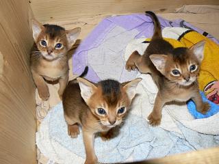 P1020484.JPG (17055 Byte)