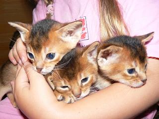 P1020488.JPG (16402 Byte)