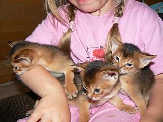 P1020489.JPG (16128 Byte)