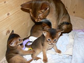 P1020492.JPG (16931 Byte)