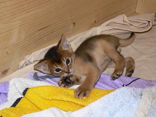 P1020500.JPG (15141 Byte)