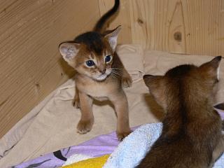 P1020502.JPG (12794 Byte)