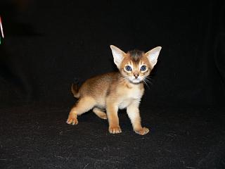 P1020510.JPG (8224 Byte)