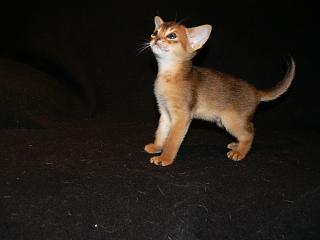 P1020511.JPG (8058 Byte)