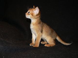 P1020515.JPG (8646 Byte)