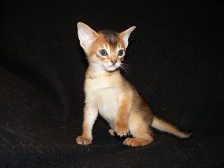 P1020518.JPG (8503 Byte)