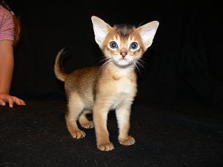 P1020525.JPG (9245 Byte)