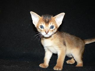 P1020534.JPG (11263 Byte)