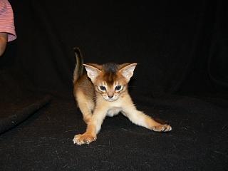 P1020548.JPG (8285 Byte)