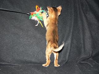 P1020556.JPG (16490 Byte)