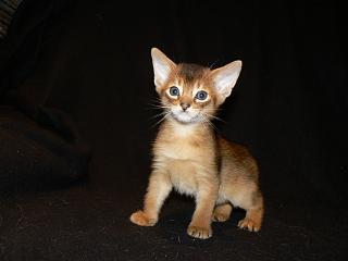 P1020574.JPG (7638 Byte)