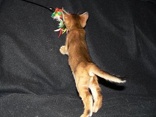 P1020579.JPG (14197 Byte)