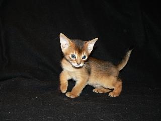 P1020580.JPG (8910 Byte)