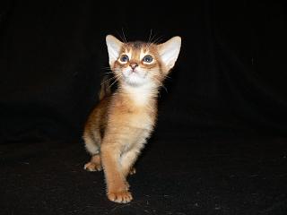 P1020583.JPG (7133 Byte)