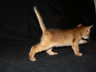 P1020584.JPG (9946 Byte)