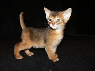 P1020587.JPG (9215 Byte)