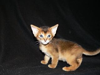 P1020592.JPG (10018 Byte)