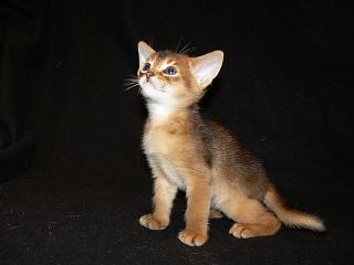 P1020593.JPG (8130 Byte)