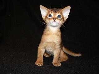 P1020596.JPG (8222 Byte)