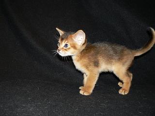 P1020598.JPG (10993 Byte)